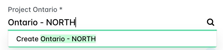 A text field for a project, with the option to create a new value.
