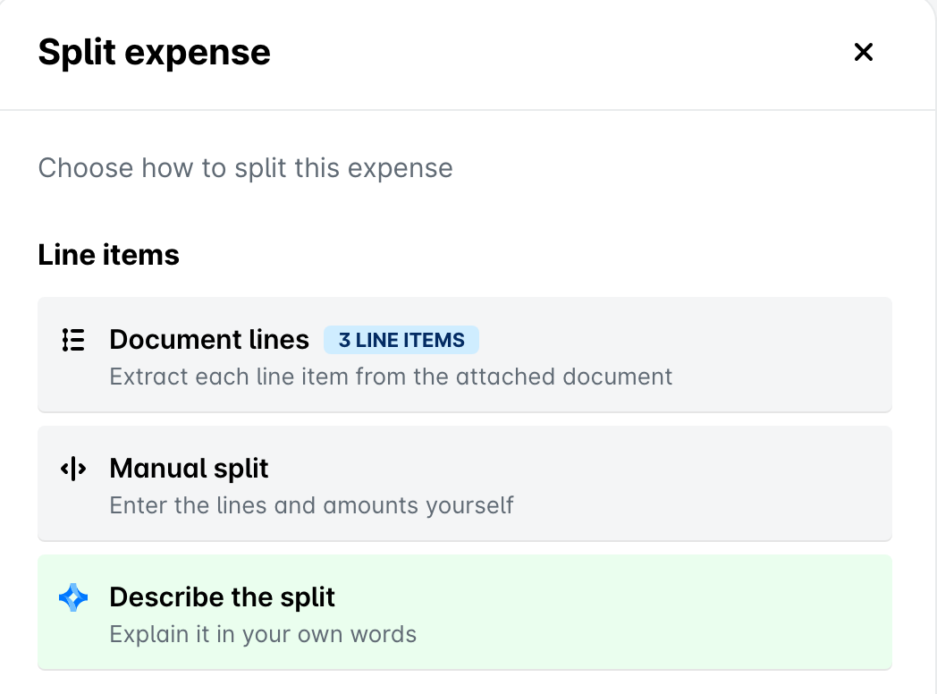 Split expense panel with the Document lines, Manual split, and Describe the split options