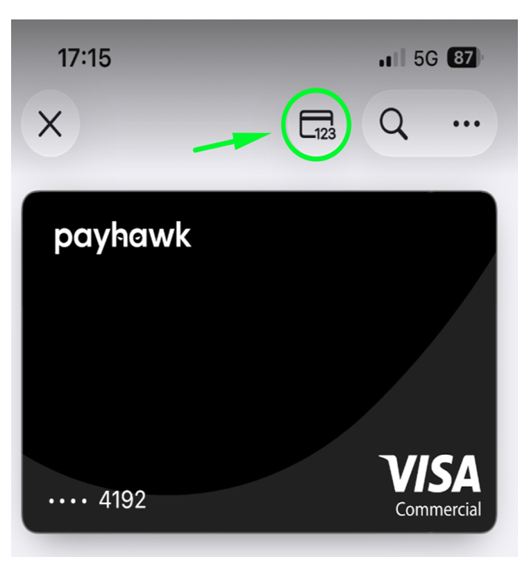 A Payhawk Visa card displayed with a highlighted card icon in the corner.