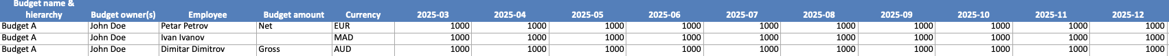 Lignes du modèle de budget avec le nom du budget, le responsable, l'employé, le type de montant, la devise et les montants mensuels.