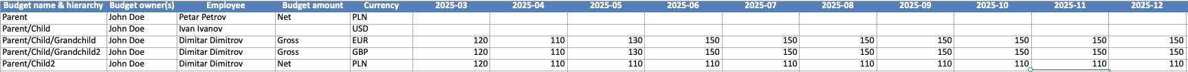 Lignes du modèle de budget pour une hiérarchie de budgets parent, enfant et petit-enfant dans différentes devises.